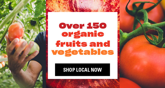 Welcome To Loblaws Loblaws