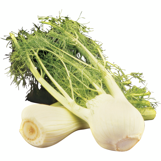 null Fennel 1 ea, $5.99/1ea