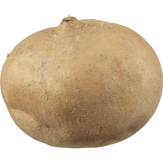 null Jicama $4.41/1kg $2.00/1lb