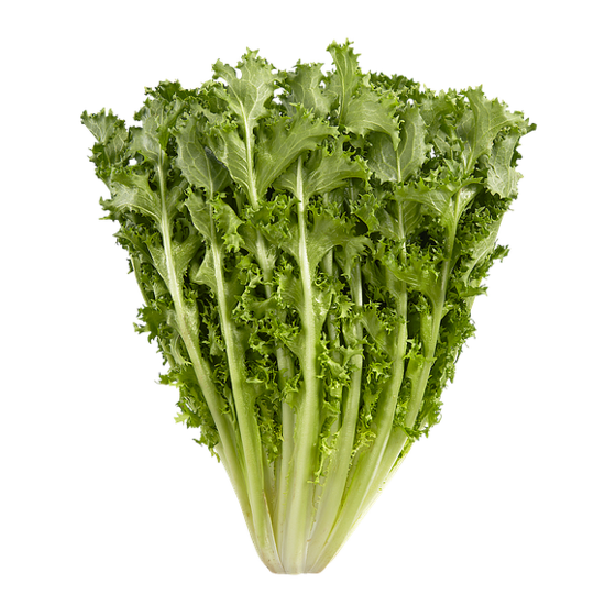 null Curly Endive 1 ea, $3.49/1ea