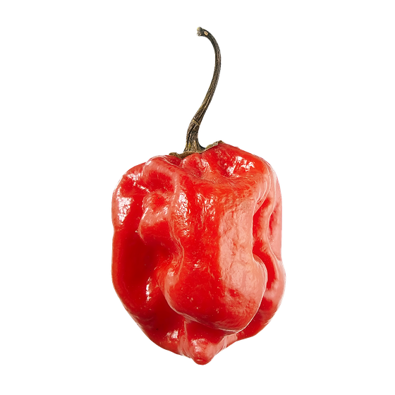 null Scotch Bonnet Peppers $16.51/1kg $7.49/1lb