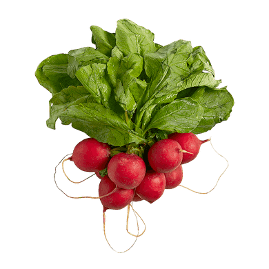 null Radishes 1 bunch, $1.69/1ea