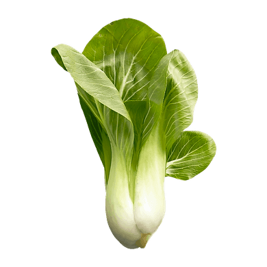 null Shanghai Bok Choy $6.61/1kg $3.00/1lb