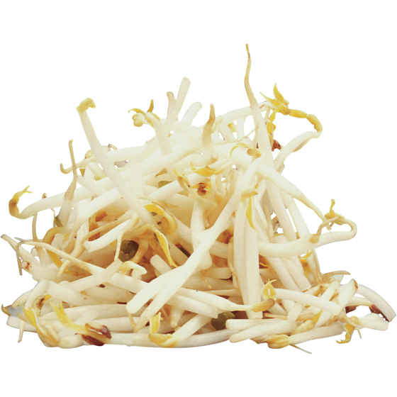 null Bean Sprouts, case 1 ea, $4.07/1kg