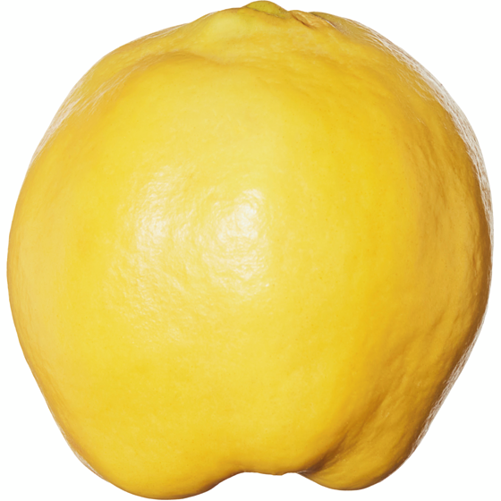 null Coing 1 ea, 3,00 $/1ch