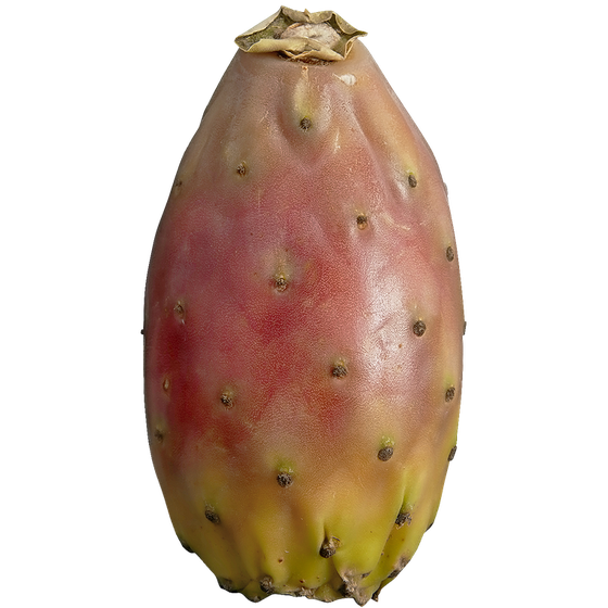 null Prickly Pears 1 ea, $1.49/1ea