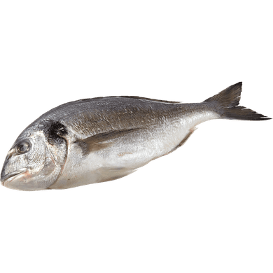 null Dorade européenne entière 24,23 $/1kg 10,99 $/1lb