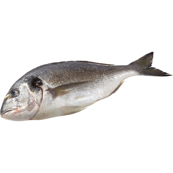 null Dorade européenne entière 30,84 $/1kg 13,99 $/1lb