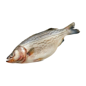 null Striped Bass, Whole $34.15/1kg $15.49/1lb