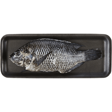 null Tilapia rouge entier frais 22,02 $/1kg 9,99 $/1lb
