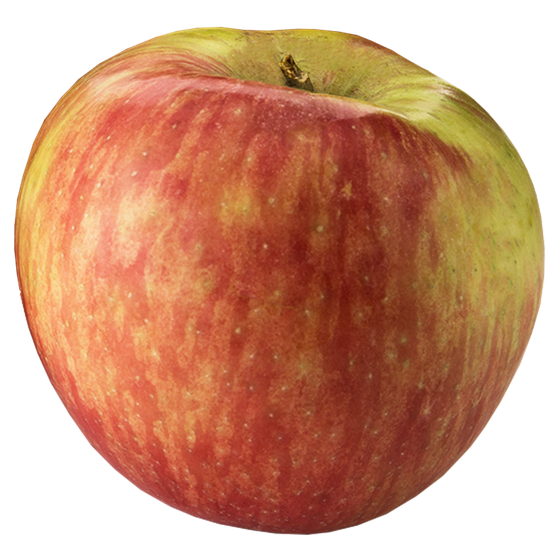 null Honeycrisp Apples, Orchard Run $6.59/1kg $2.99/1lb