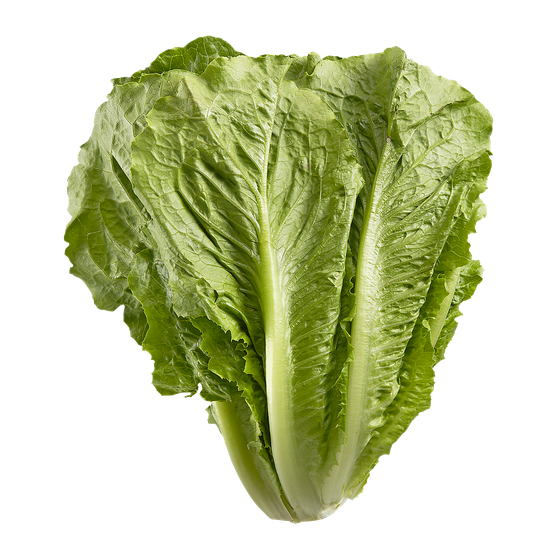 null Laitue romaine 1 ea, 1,37 $/1ch