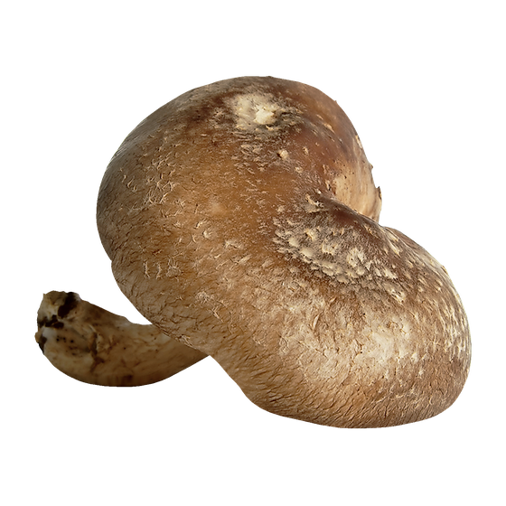 null Shiitake Mushrooms $2.86/100g $28.64/1kg
