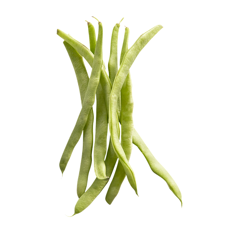 Are Runner Beans Safe For Dogs