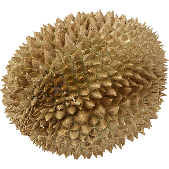 null Durian surgelé 11,00 $/1kg 4,99 $/1lb