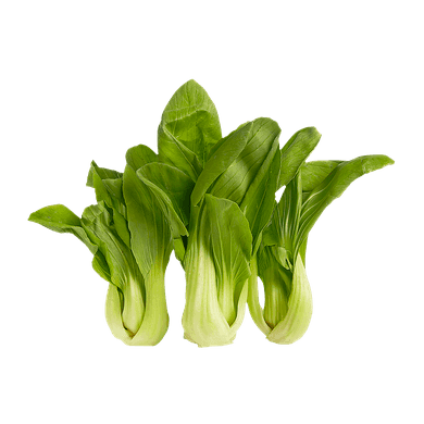 null Shanghai Bok Choy Jr. $6.61/1kg $3.00/1lb
