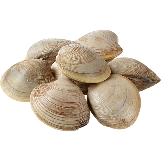 null Pasta Clams, Live $19.82/1kg $8.99/1lb