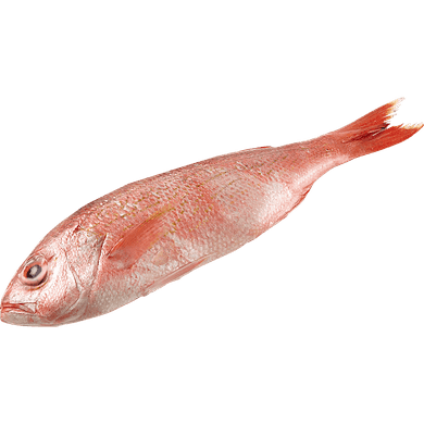 null Vivaneau entier frais 39,66 $/1kg 17,99 $/1lb