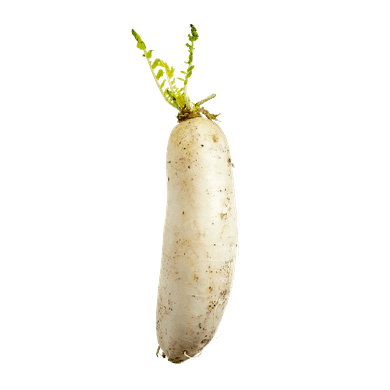null LoBok (Daikon Radish) $4.39/1kg $1.99/1lb