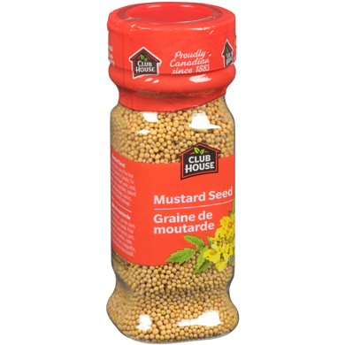 The Mustard Seeds ☆III The Mustard Seeds ☆III Yellow Mustard Seeds - 500g : Amazon