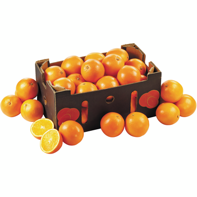 Sunkist Oranges Navel, sac de 8 lb 3.63 kg, 0,19 $/100g