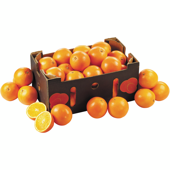 Sunkist Oranges Navel, sac de 8 lb 3.63 kg, 0,22 $/100g