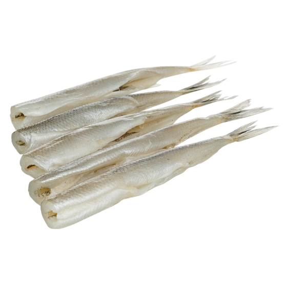 null Fresh Atlantic Smelt $20.92/1kg $9.49/1lb