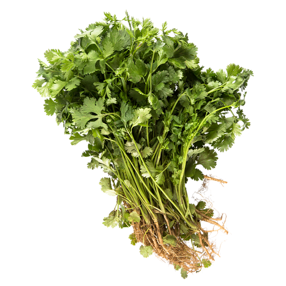 null Coriandre 1 ea, 1,99 $/1ch