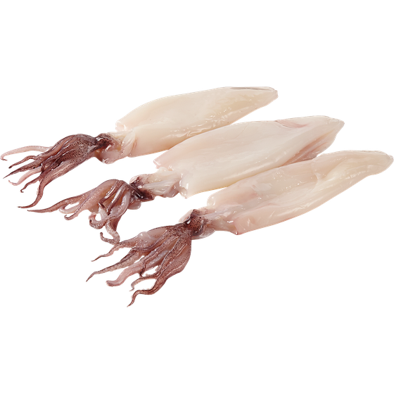 null Whole Fresh Squid $41.87/1kg $19.00/1lb