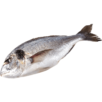 null Seabream (Orata) $33.05/1kg $15.00/1lb