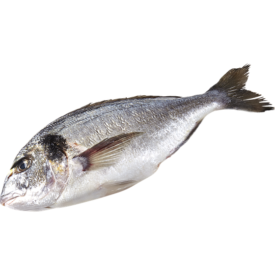 null Seabream (Orata) $33.05/1kg $15.00/1lb