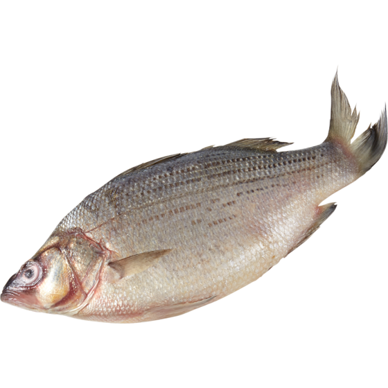 null White Bass, Whole $13.21/1kg $5.99/1lb