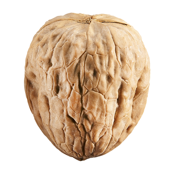 null Noix de Grenoble 1,10 $/100g 11,00 $/1kg