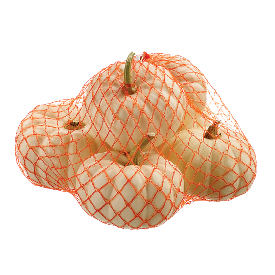 null Citrouilles miniatures Baby Boo 6x1.0 ea, 0,67 $/1ch