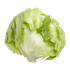 Laitue iceberg