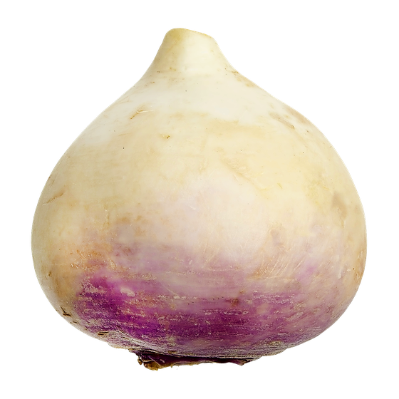null Turnips $6.61/1kg $3.00/1lb