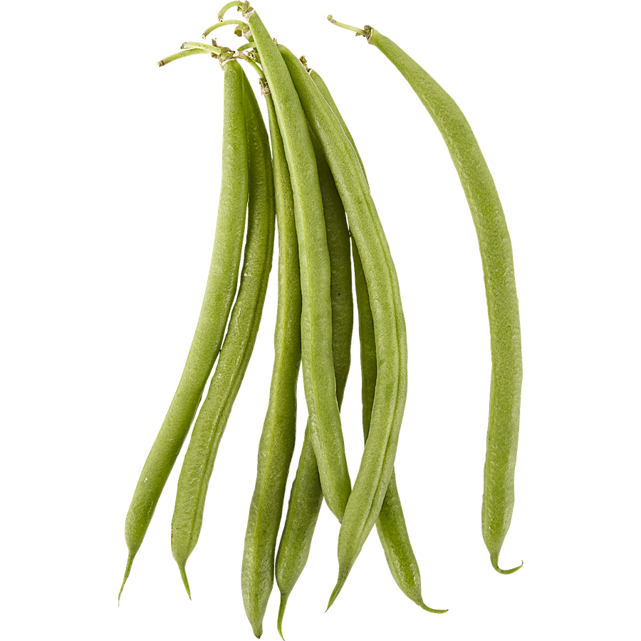 Are Runner Beans Safe For Dogs