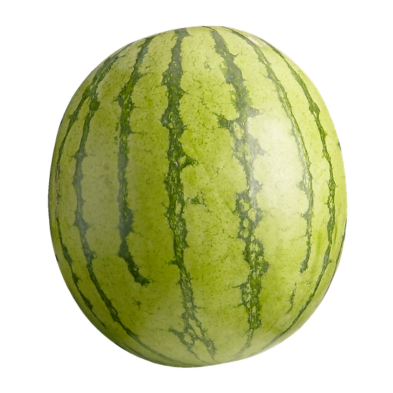null Mini Seedless Watermelon 1 ea, $4.99/1ea