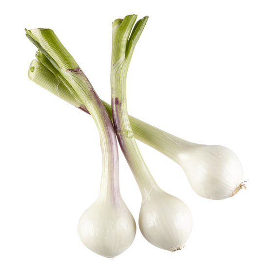 null Onion Bulb, Bunch 1 ea, $3.99/1ea