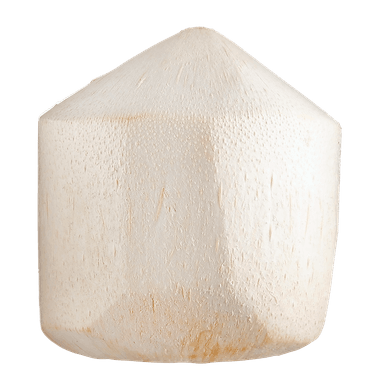 null Fresh Coconut Young 1 ea, $5.00/1ea