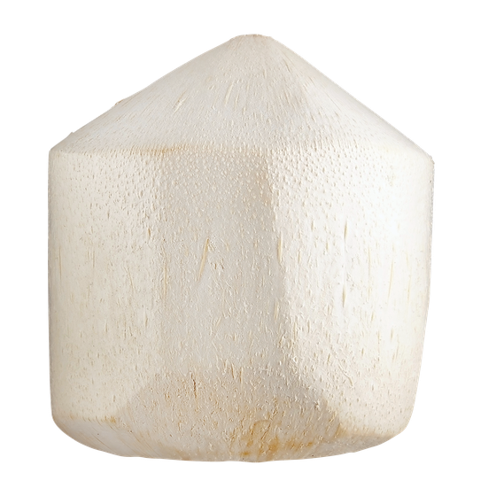 null Jeune Noix de coco 1 ea, 5,00 $/1ch