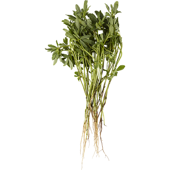 null Fenugrec bouqet 1 ea, 2,50 $/1ch