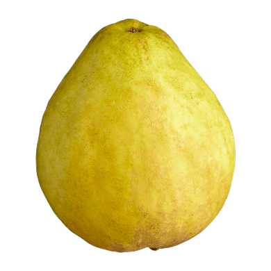 null Guava $15.41/1kg $6.99/1lb