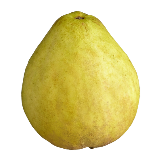 null Goyave 13,23 $/1kg 6,00 $/1lb