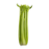 Celery Stalks