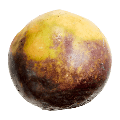 null Rutabaga 3,28 $/1kg 1,49 $/1lb