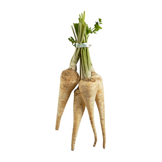 null Parsley Root 1 ea, $7.00/1ea