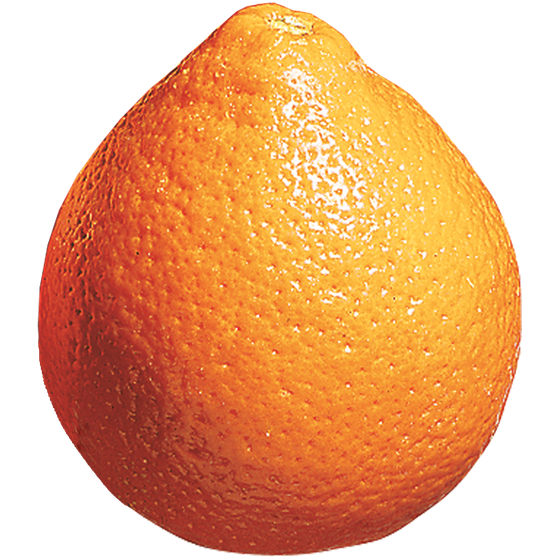 null Minneola Tangelos $9.90/1kg $4.49/1lb