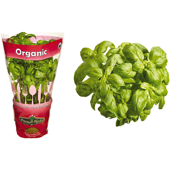 null Organic Basil Potted 1 ea, $6.00/1ea