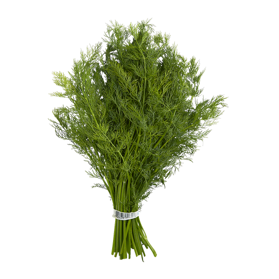 null Fresh Dill, Baby 1 ea, $3.49/1ea